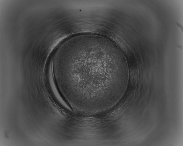 X0000093210628200710031421