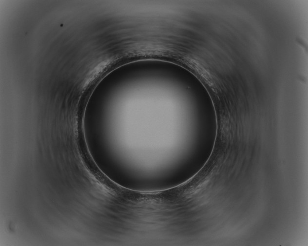 X0000093210629200710031421