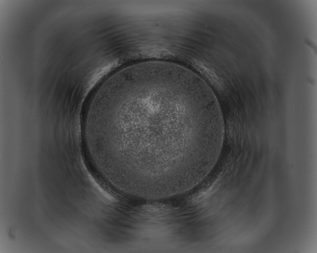 X0000093210630200710031421