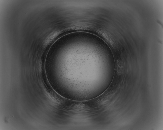 X0000093210631200710031421