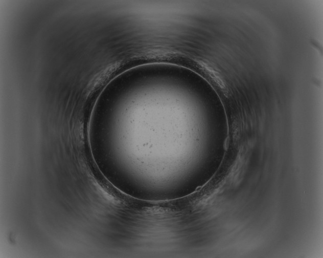 X0000093210633200710031421