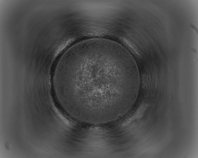 X0000093210634200710031421