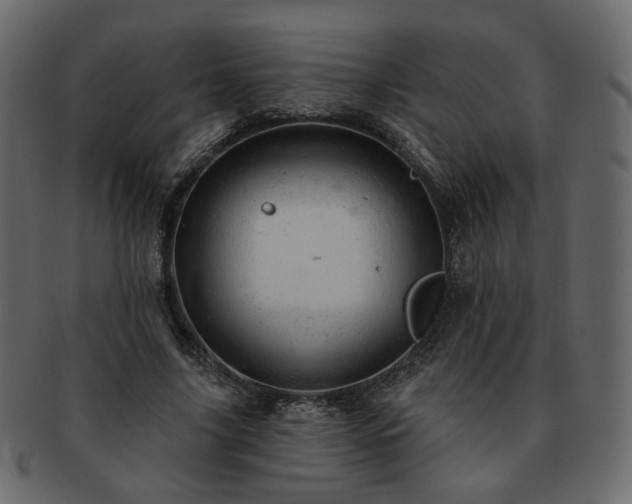 X0000093210635200710031421