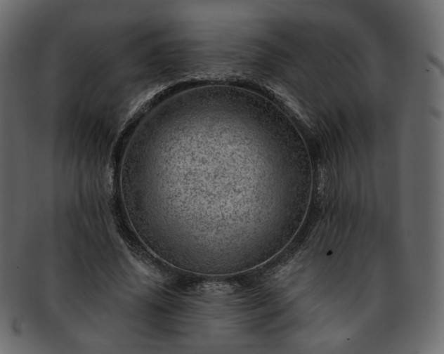 X0000093210636200710031421