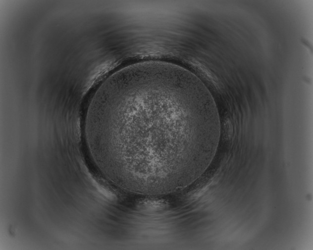 X0000093210638200710031421