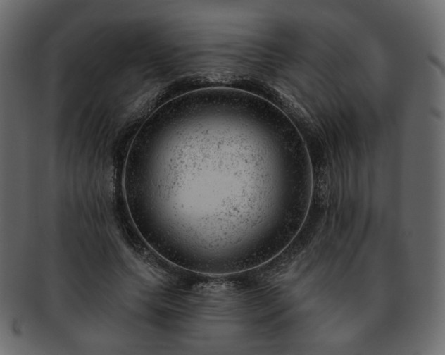 X0000093210639200710031421