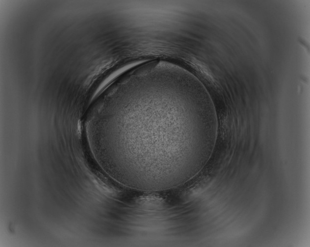 X0000093210644200710031421