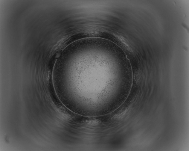 X0000093210645200710031421