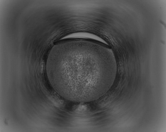 X0000093210647200710031421