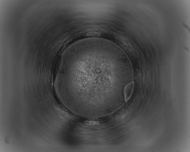 X0000093210649200710031421