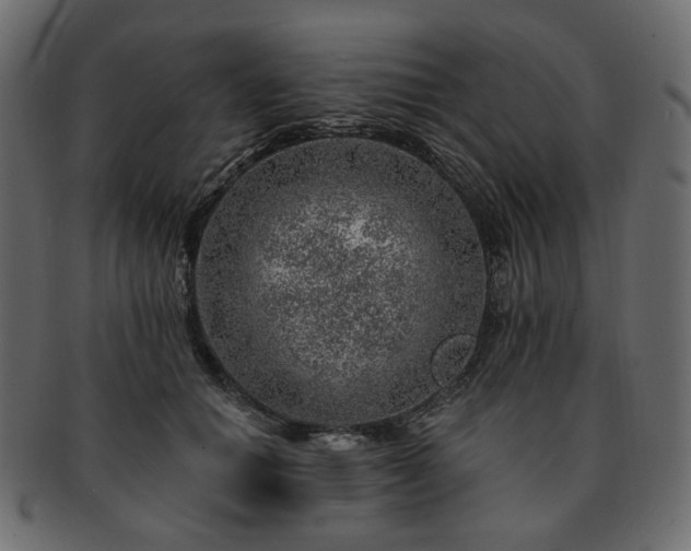 X0000093210654200710031421