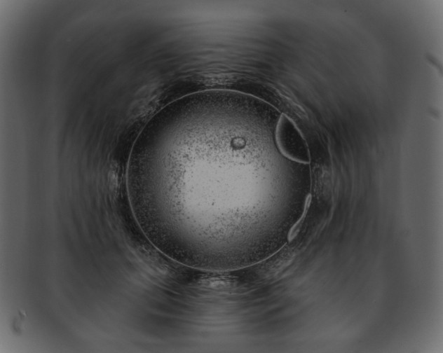 X0000093210655200710031421