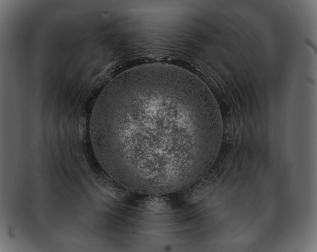 X0000093210656200710031421