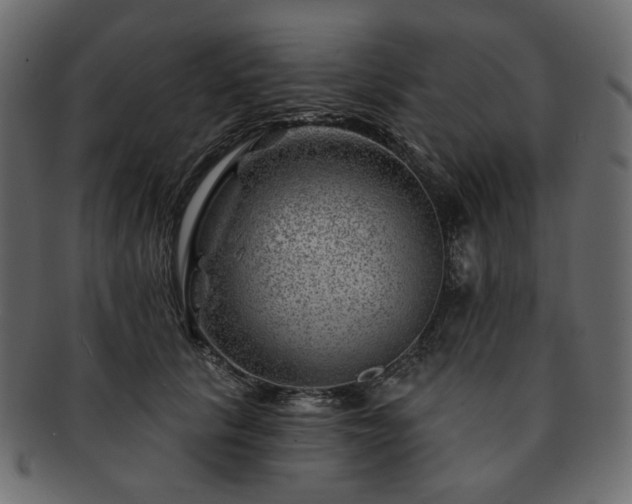 X0000093210657200710031421