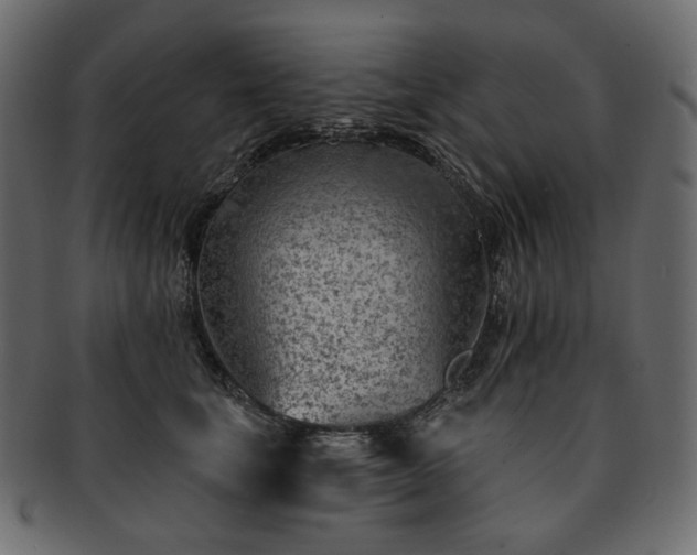 X0000093210659200710031421