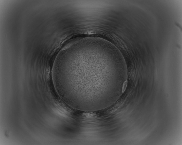 X0000093210660200710031421