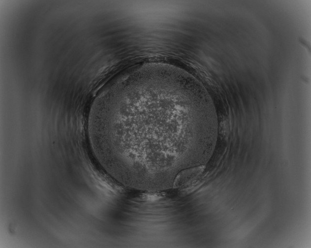 X0000093210662200710031421