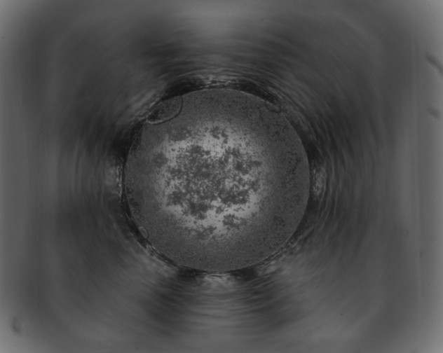 X0000093210666200710031421