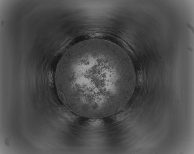 X0000093210667200710031421