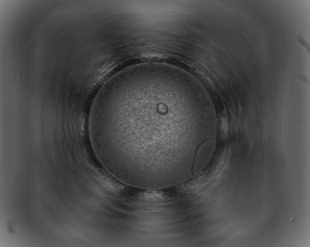 X0000093210668200710031421