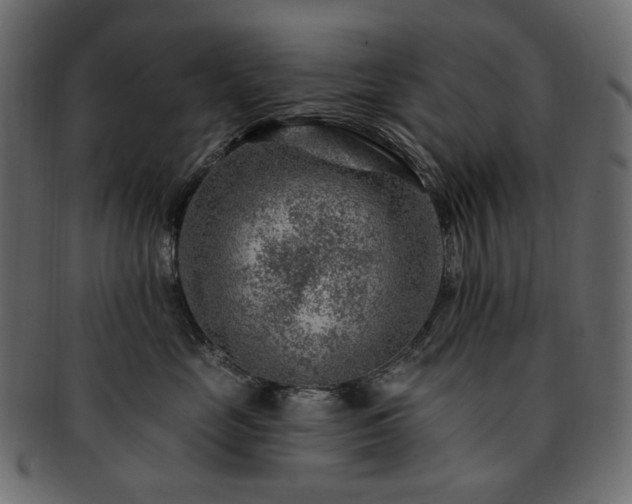 X0000093210669200710031421