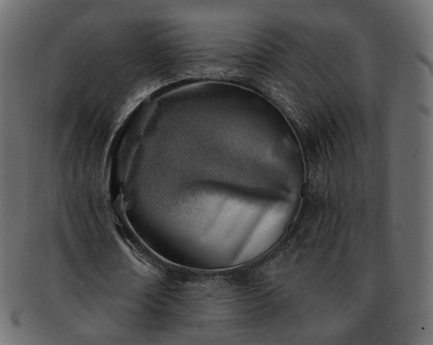 X0000093210674200710031421