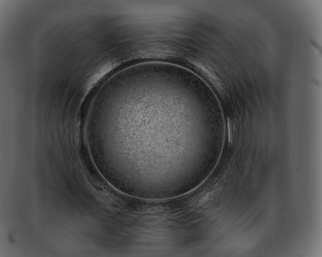 X0000093210675200710031421