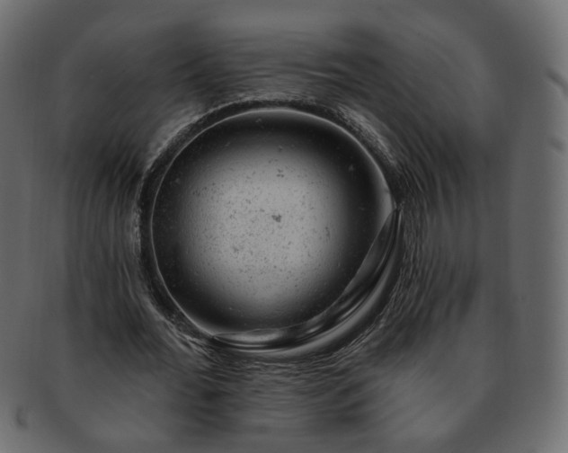 X0000093210676200710031421