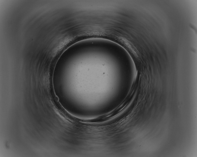 X0000093210677200710031421