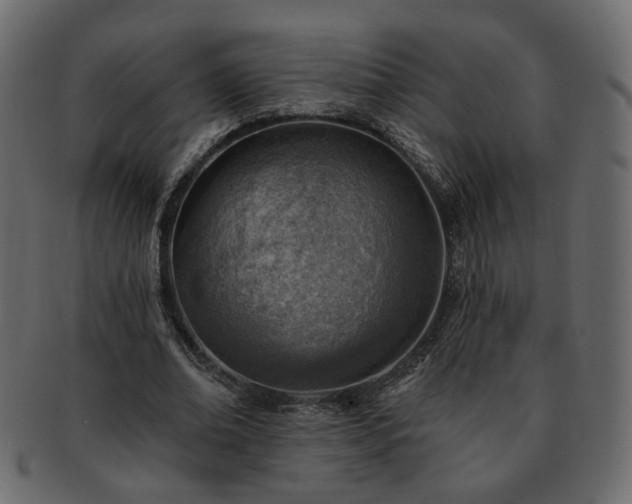 X0000093210678200710031421