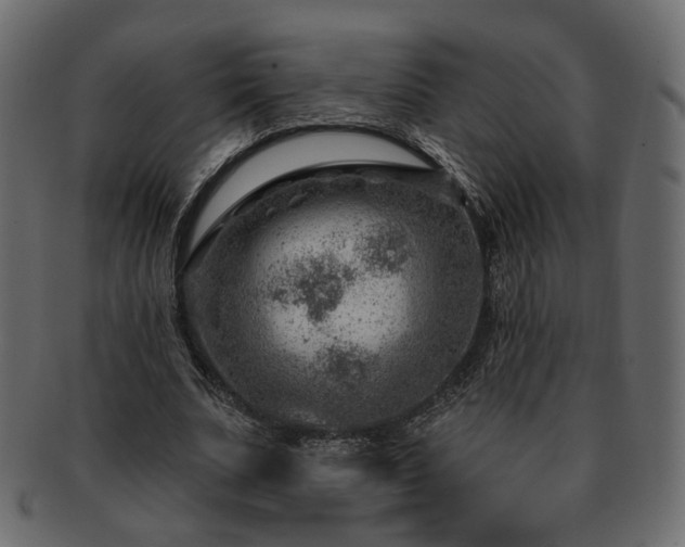 X0000093210679200710031421