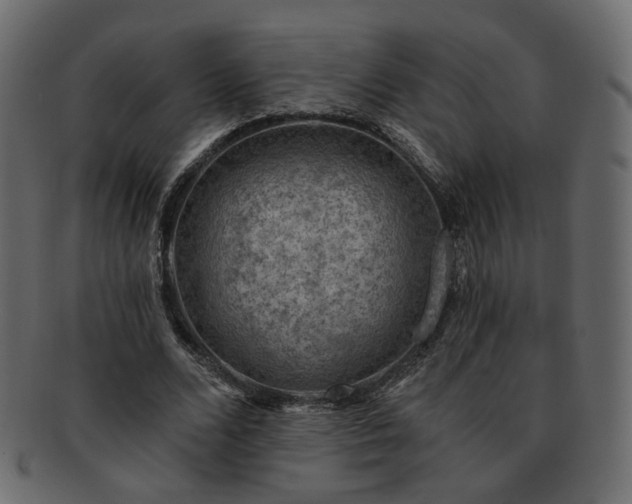 X0000093210680200710031421