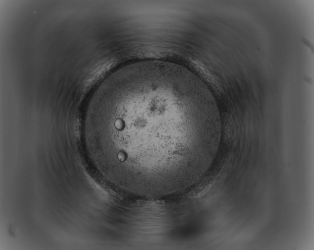 X0000093210683200710031421