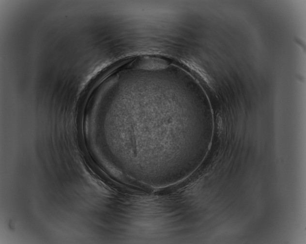 X0000093210684200710031421