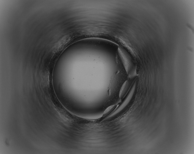 X0000093210685200710031421