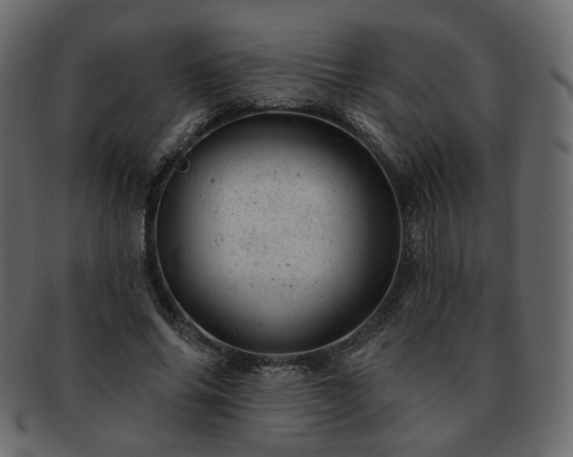 X0000093210686200710031421