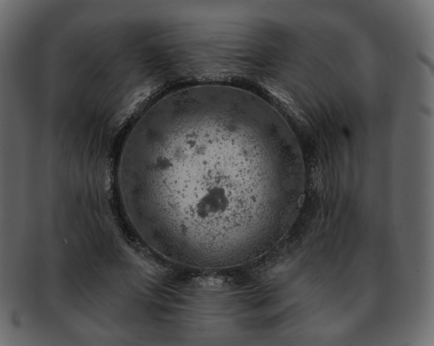 X0000093210687200710031421