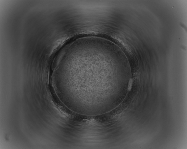 X0000093210688200710031421