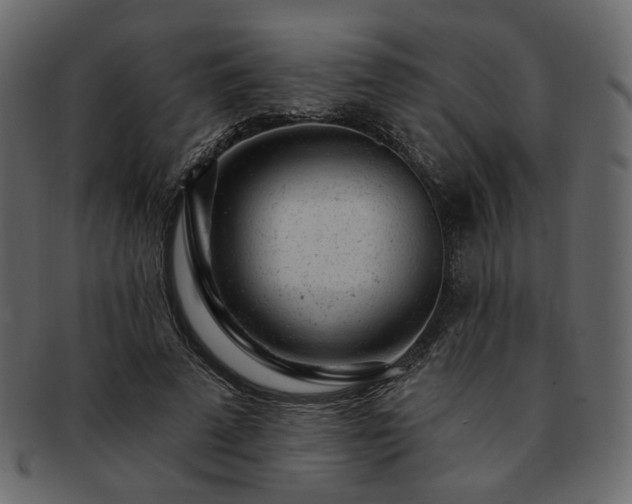 X0000093210689200710031421