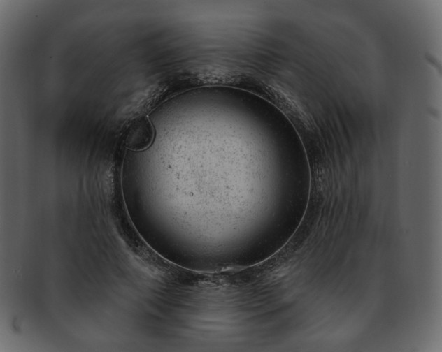 X0000093210690200710031420