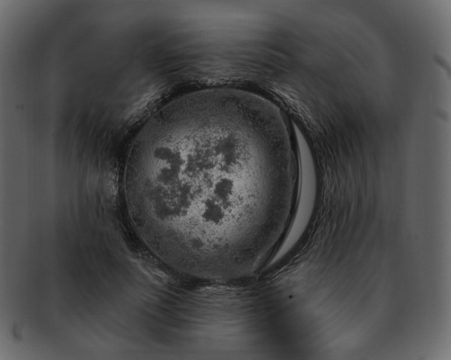 X0000093210691200710031420