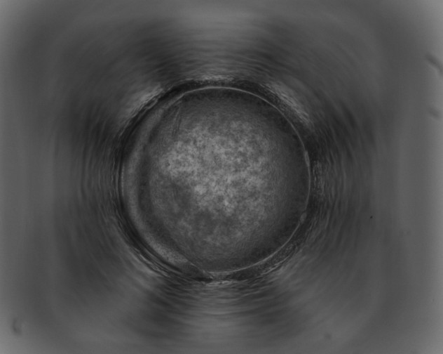 X0000093210692200710031420