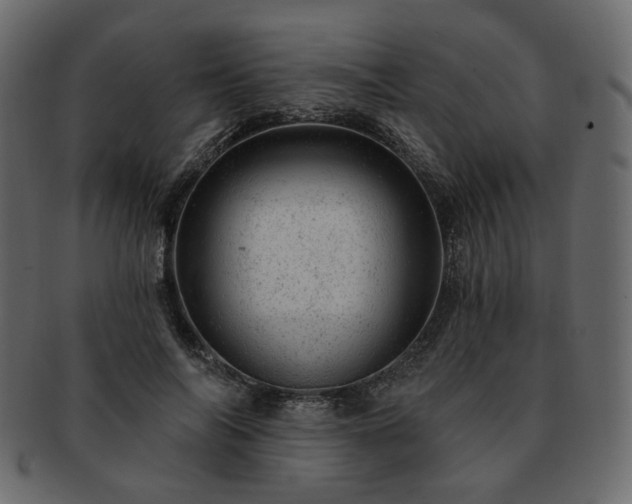 X0000093210694200710031420