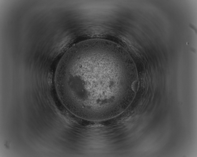 X0000093210695200710031420