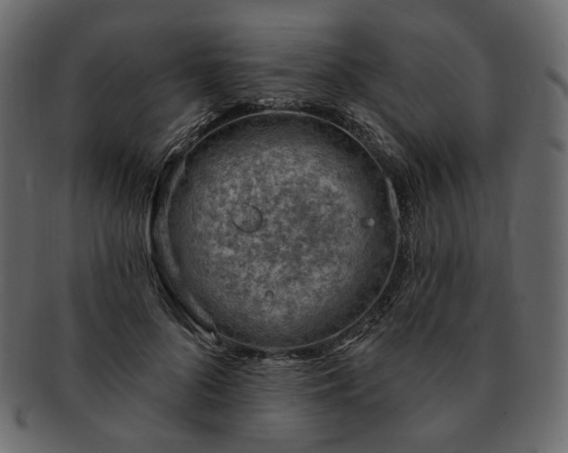 X0000093210696200710031420