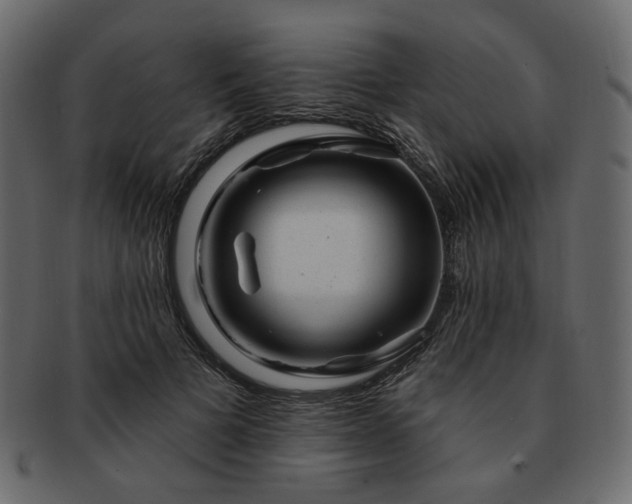 X0000093210697200710031420