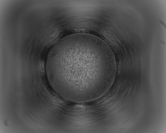 X0000093210699200710031420