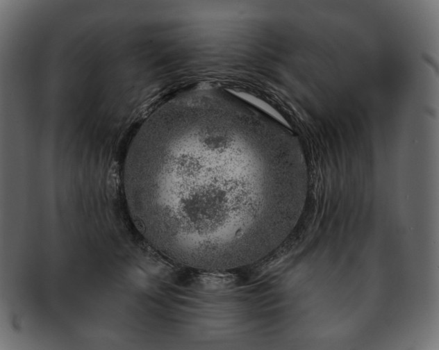 X0000093210707200710031420