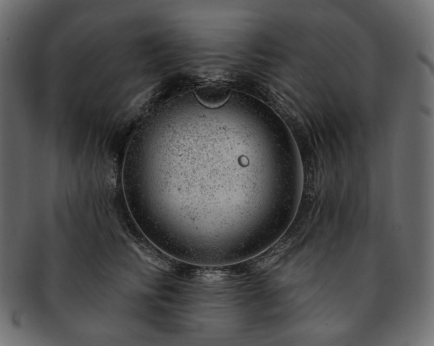 X0000093210710200710031420