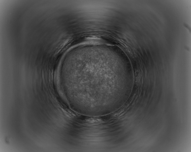 X0000093210712200710031420